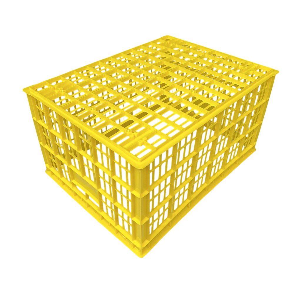 2025080913178403.jpg IMG_9705.jpg