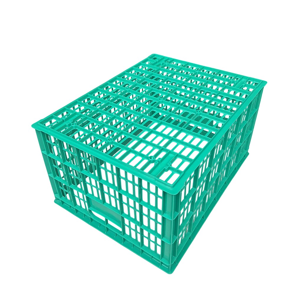 2025080955124836.jpg IMG_9718.jpg